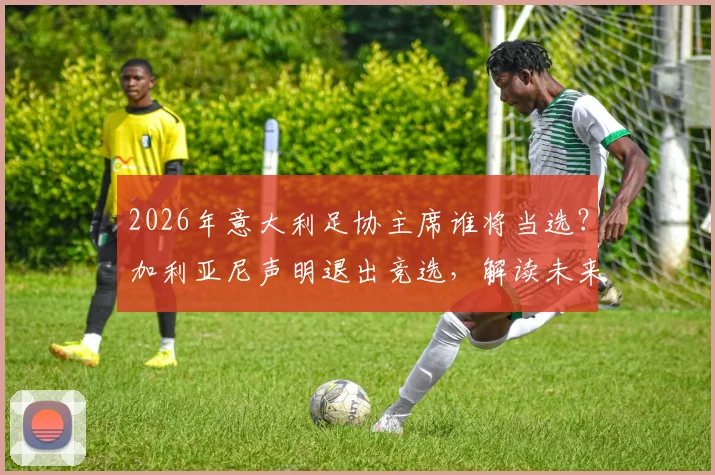 2026年意大利足协主席谁将当选？加利亚尼声明退出竞选，解读未来人选与足坛变革