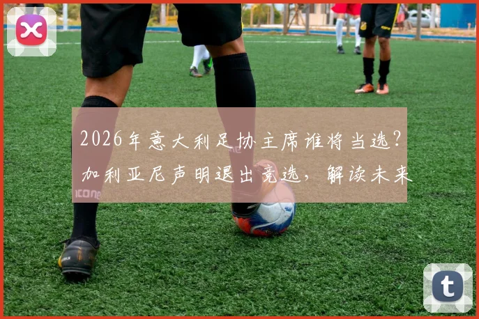 2026年意大利足协主席谁将当选?加利亚尼声明退出竞选,解读未来人选与足坛变革
